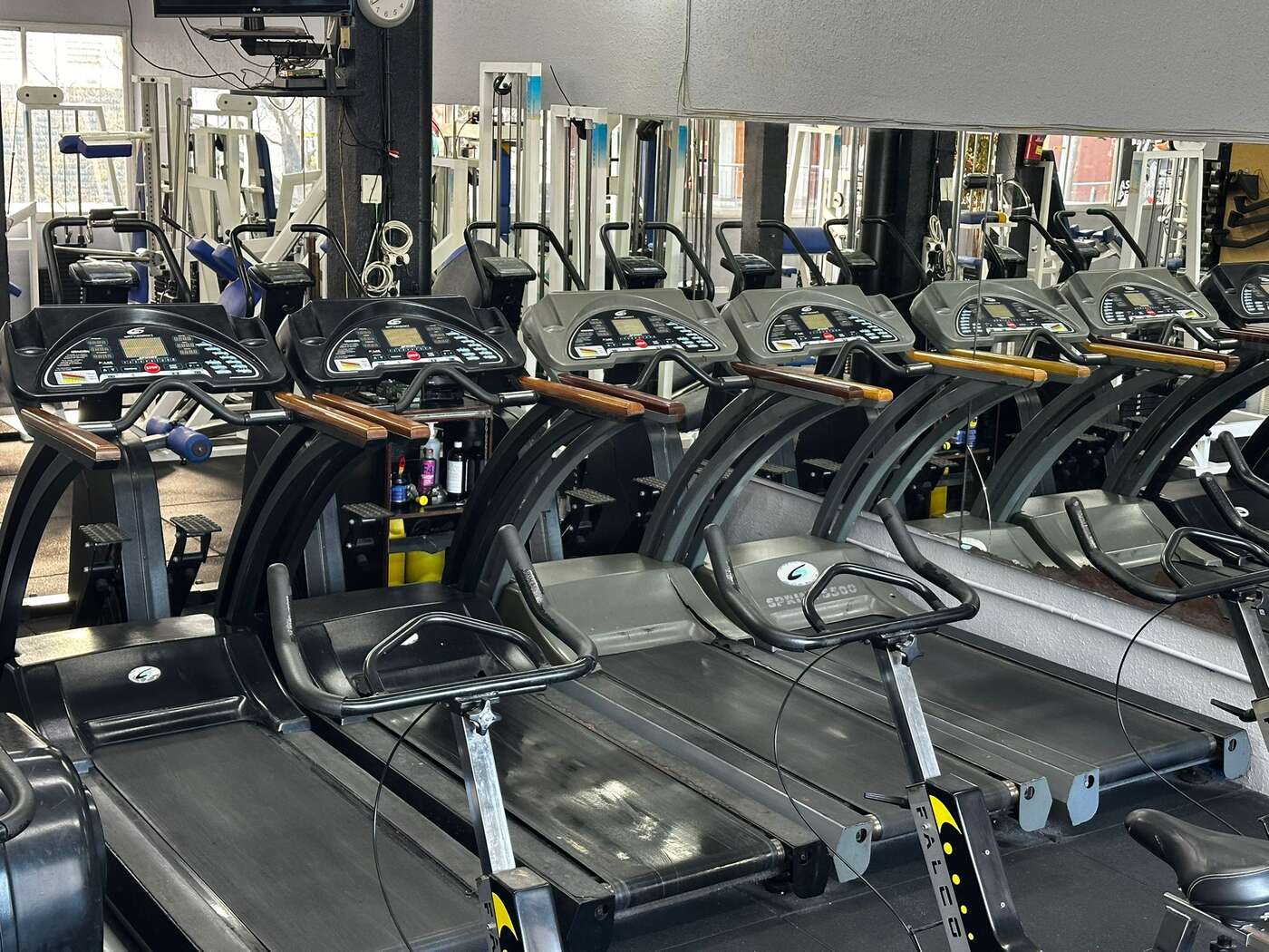 Zona cardio